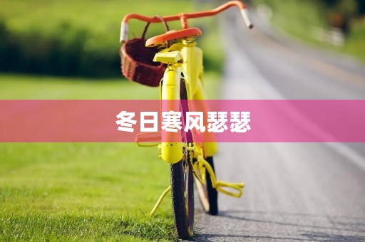 冬日寒风瑟瑟,寒冷的冬天 冬日寒风瑟瑟,寒冷的冬天
