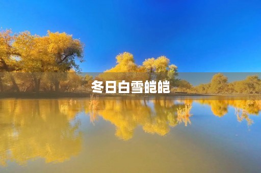 冬日白雪皑皑,美丽如画 冬日白雪皑皑,美丽如画