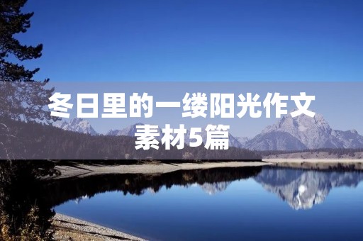 冬日里的一缕阳光作文素材5篇