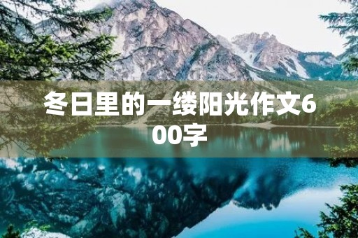 冬日里的一缕阳光作文600字