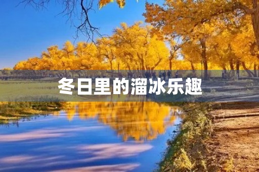 冬日里的溜冰乐趣