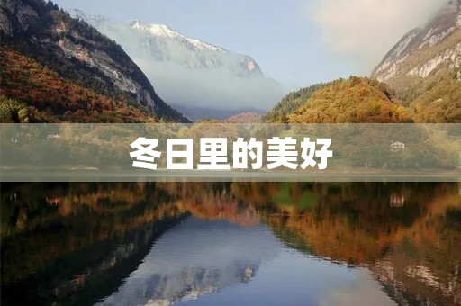 冬日里的美好