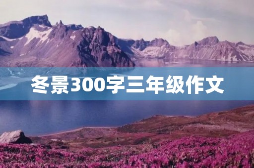 冬景300字三年级作文 冬景300字三年级作文