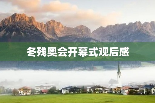 冬残奥会开幕式观后感