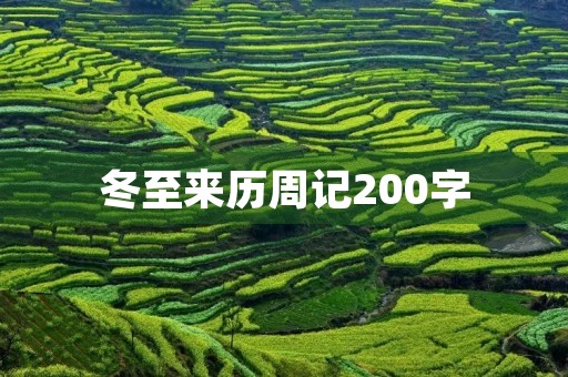 冬至来历周记200字