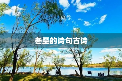冬至的诗句古诗