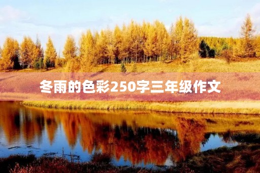 冬雨的色彩250字三年级作文 冬雨的色彩250字三年级作文