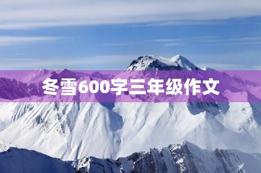 冬雪600字三年级作文