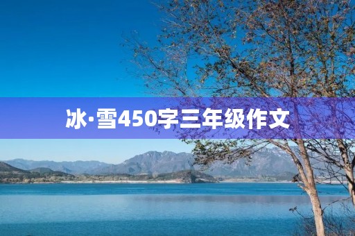 冰·雪450字三年级作文