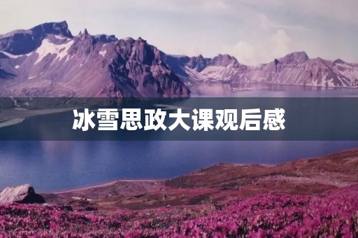 冰雪思政大课观后感