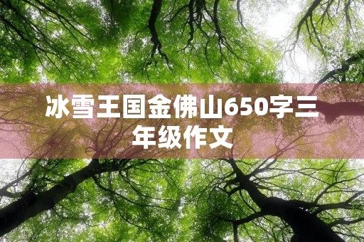 冰雪王国金佛山650字三年级作文