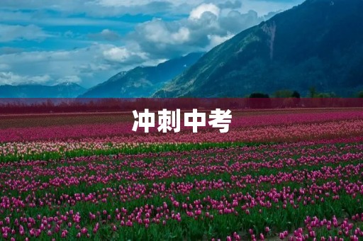 冲刺中考，我的备考计划