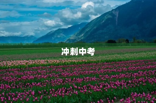 冲刺中考，高效备考，迎接挑战