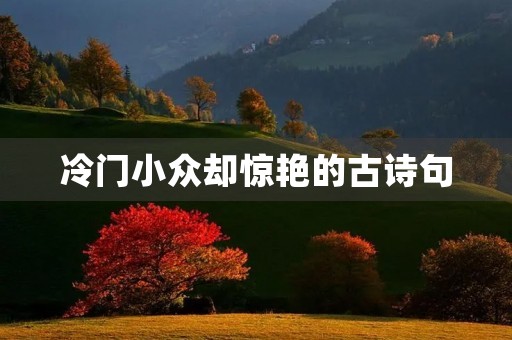 冷门小众却惊艳的古诗句(冷门小众却惊艳的古诗句爱情) 冷门小众却惊艳的古诗句(冷门小众却惊艳的古诗句爱情)