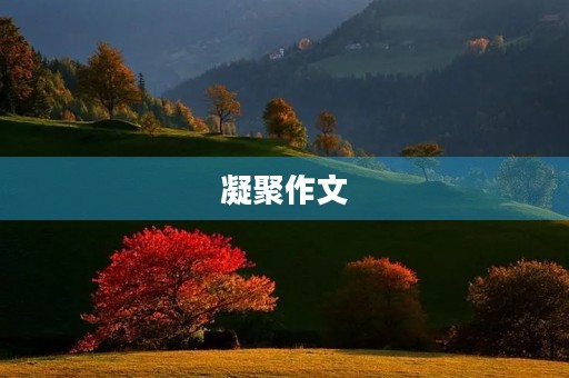 凝聚作文 凝聚作文