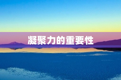 凝聚力的重要性