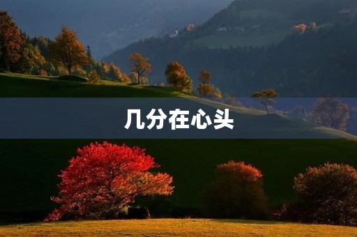 几分在心头，如何面对生活中的得与失？