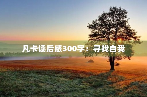 凡卡读后感300字：寻找自我，不断突破