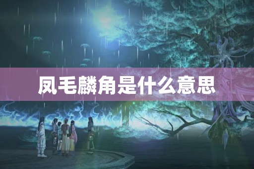 凤毛麟角是什么意思 凤毛麟角是什么意思