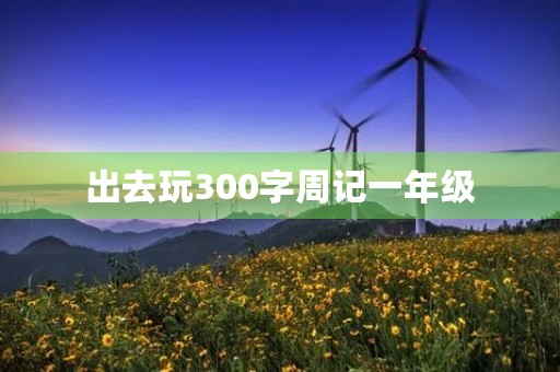 出去玩300字周记一年级 出去玩300字周记一年级
