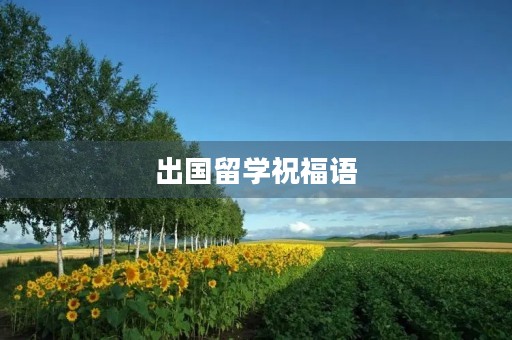 出国留学祝福语(女儿出国留学励志的话)