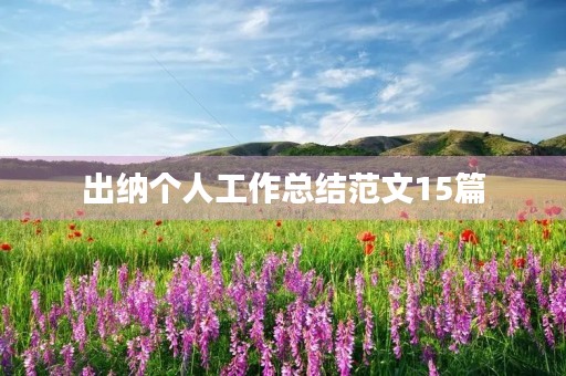 出纳个人工作总结范文15篇