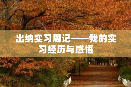 出纳实习周记——我的实习经历与感悟 出纳实习周记——我的实习经历与感悟