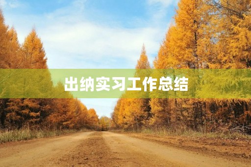 出纳实习工作总结【五篇】 出纳实习工作总结【五篇】