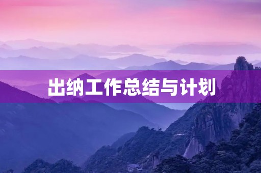 出纳工作总结与计划
