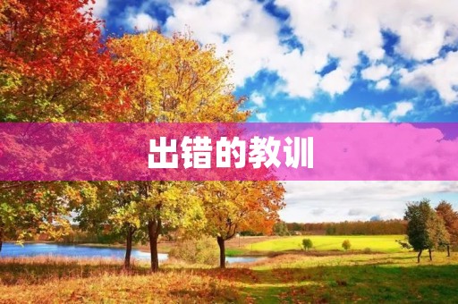 出错的教训