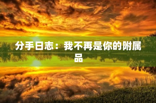 分手日志：我不再是你的附属品