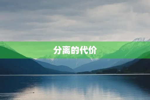分离的代价 分离的代价