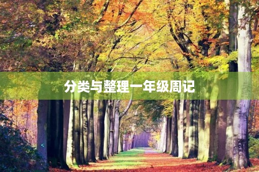 分类与整理一年级周记 分类与整理一年级周记