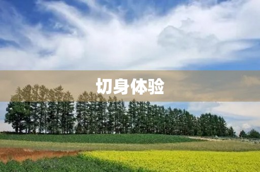 切身体验,深刻感悟 切身体验,深刻感悟