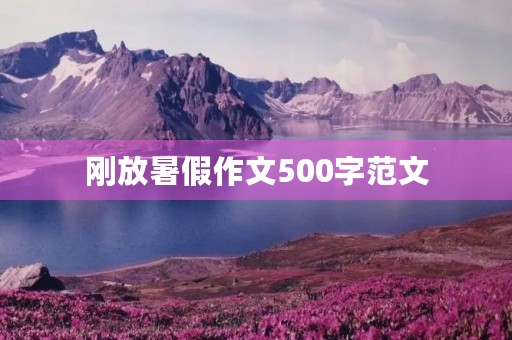刚放暑假作文500字范文 刚放暑假作文500字范文