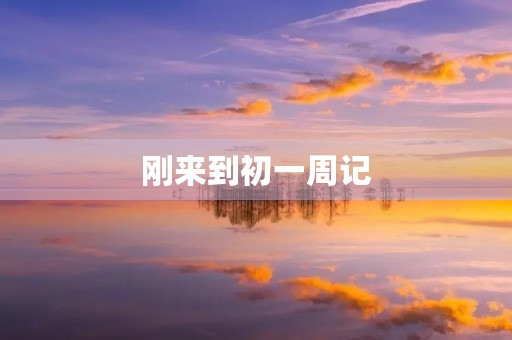 刚来到初一周记