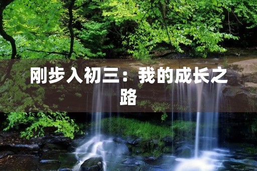 刚步入初三：我的成长之路