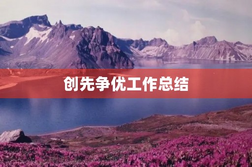 创先争优工作总结