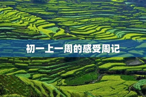 初一上一周的感受周记 初一上一周的感受周记
