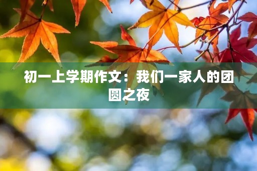 初一上学期作文：我们一家人的团圆之夜
