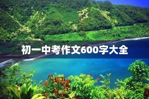 初一中考作文600字大全
