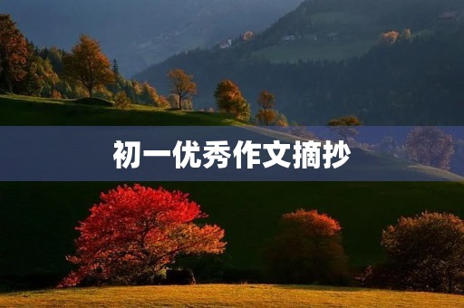 初一优秀作文摘抄