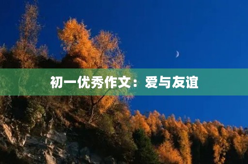 初一优秀作文:爱与友谊 初一优秀作文:爱与友谊