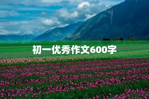 初一优秀作文600字