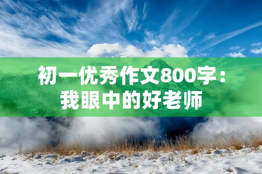 初一优秀作文800字:我眼中的好老师 初一优秀作文800字:我眼中的好老师