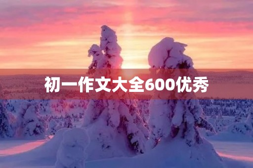 初一作文大全600优秀
