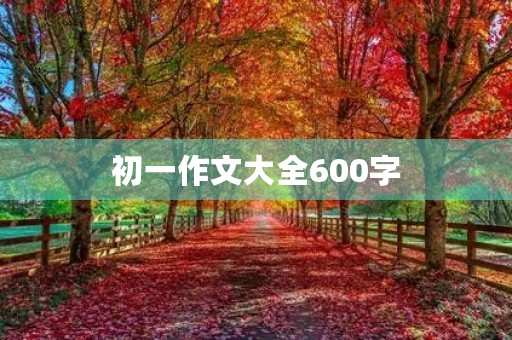 初一作文大全600字 初一作文大全600字