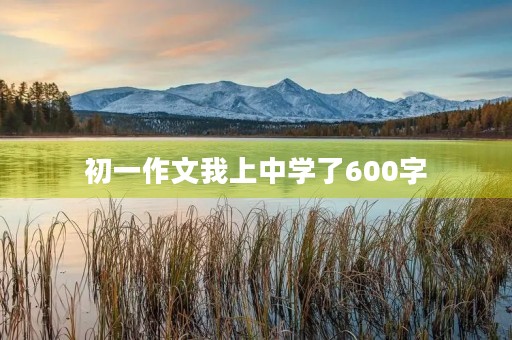 初一作文我上中学了600字 初一作文我上中学了600字
