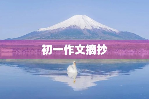 初一作文摘抄 初一作文摘抄