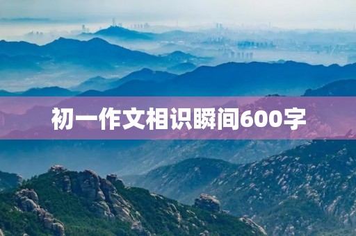 初一作文相识瞬间600字 初一作文相识瞬间600字